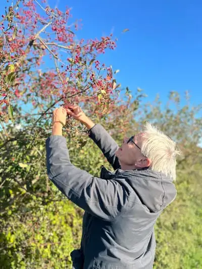 Observation et cueillette de plantes médicinales dans une approche respectueuse du végétal